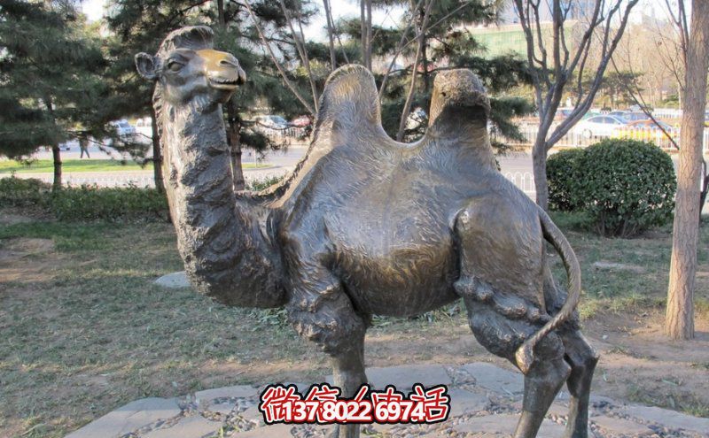 創(chuàng)意大型玻璃鋼駱駝雕塑，在草地上擺放，一眼回頭